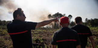 Macron in Gironde on Wednesday with people “mobilized” against the fires