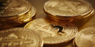 Central African Republic: Bangui, the unlikely capital of bitcoin