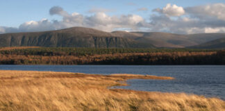 “A Palm Tree in the Arctic” by Nick Hunt: Wild Lands of the Old Continent