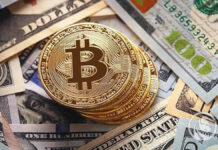 Trading forex with Bitcoin: how does it work?