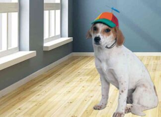 WIF Price Crashes 15% – Will The Freefall Continue?
New Title: WIF Price Crash: Predictions for Future Trends news-15062024-024541