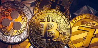 Meme coins outperform Bitcoin in 2024
Meme Coins Outperform Bitcoin: What This Means for Investors news-15062024-024640