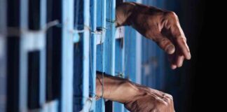 Darknet Marketplace Empire Market: Two Men ChargedEmpire Market: Two Men Charged with Running Darknet Platform news-15062024-024731