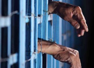 Darknet Marketplace Empire Market: Two Men ChargedEmpire Market: Two Men Charged with Running Darknet Platform news-15062024-024731