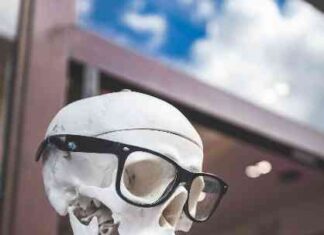 Meme Coins Outperform Bitcoin in 2024: Memeinator Takes the LeadMeme Coins Outperform Bitcoin 2024 news-15062024-025440