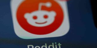 WallStreetBets Traders: Focus on Options Trading – SEO Title: WallStreetBets Traders: Mastering Options Trading news-15062024-042528