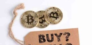 Bitcoin Price Drops to $65,000: Analysis and Predictions news-15062024-053612