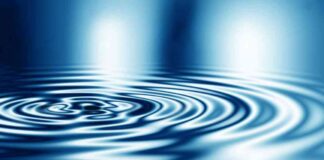 XRP Whale Buys 27 Million Coins: Price Surge Expected news-15062024-101755