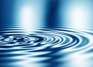 XRP Whale Buys 27 Million Coins: Price Surge Expected news-15062024-101755