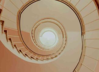 Filling the Gap: Optimism Protocol’s Transformation news-15062024-190655