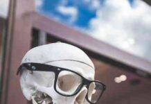 2024: Meme Coins Outperform Bitcoin – Memeinator Takes the Lead news-15062024-190720