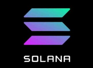 Solana Price Analysis: Analyst Predicts Buy Signal as SOL Touches Key Support at $141 news-16062024-033040