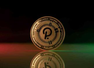 Is It Time to Buy Polkadot at $6.20? Accumulation Opportunity Analysis news-17062024-022505