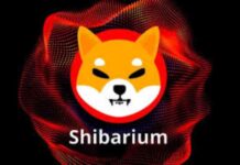 Shiba Inu’s Shibarium: Surging Triple-Digits Across Key Metrics – What’s Happening? news-17062024-132525