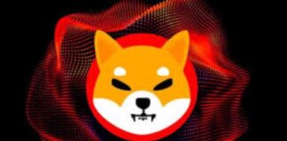 Shiba Inu’s Shibarium: Surging Triple-Digits Across Key Metrics – What’s Happening? news-17062024-132525