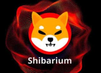Shiba Inu’s Shibarium: Surging Triple-Digits Across Key Metrics – What’s Happening? news-17062024-132525