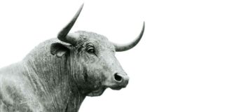 Institutional Adoption of Bitcoin and Crypto Stocks: A Ripe Opportunity news-19062024-031353