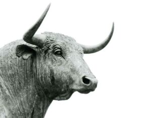 Institutional Adoption of Bitcoin and Crypto Stocks: A Ripe Opportunity news-19062024-031353