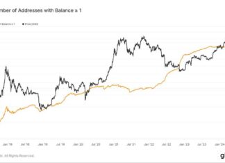 Bitcoin addresses with 1 BTC or more decrease to slightly above 1 million news-19062024-160945