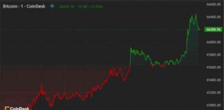 Crypto Assets Rally in Americas as BTC Returns to $66K news-20062024-230836