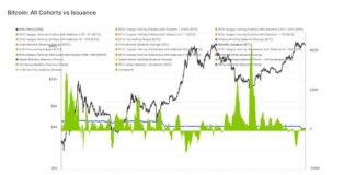 Evolution of Retail Bitcoin Investors: From ‘Dumb Money’ to ‘Smart Money’ news-21062024-041134