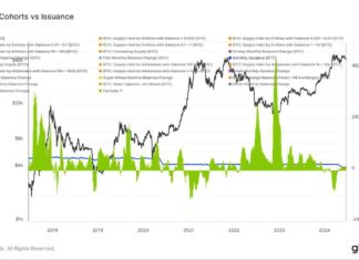 Evolution of Retail Bitcoin Investors: From ‘Dumb Money’ to ‘Smart Money’ news-21062024-041134