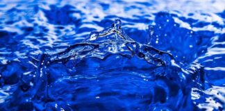 Meme Coin Liquidity Surges Despite Bid-Ask Spread Concerns news-21062024-054736