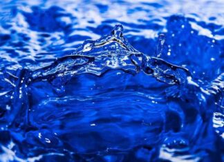 Meme Coin Liquidity Surges Despite Bid-Ask Spread Concerns news-21062024-054736