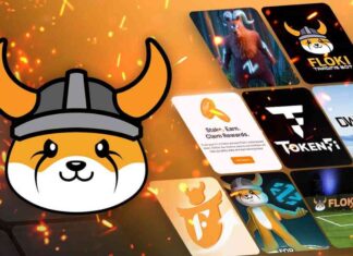 FLOKI Reveals New Developments and Marketing Strategies for Growth – CoinJournal news-21062024-131144