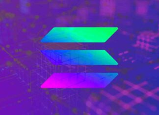 Solana’s Dominance in Blockchain Sector: Pantera Compares Rise to Apple’s macOS news-22062024-102036