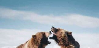 Bitcoin Price Plunges Below $60k in Latest Sell-Off – CoinJournal news-24062024-150641