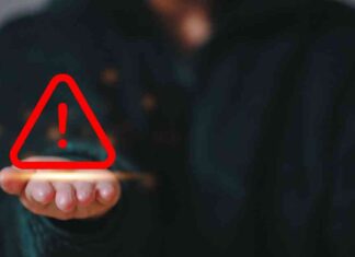 Watch out for Fake FLOKI Tokens on Solana & Base: Floki Inu Alerts – CoinJournal news-30062024-103250