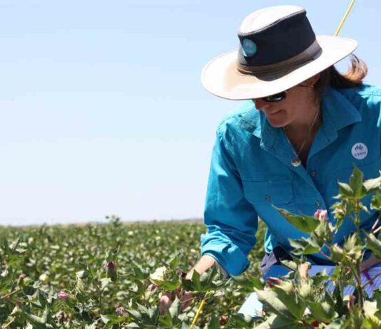 Shortage of skilled plant breeders could impact global food security shortage-of-skilled-plant-breeders-could-impact-global-food-security