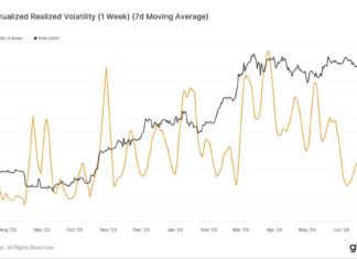Bitcoin Market Maturity Shown by Low Volatility and Steady Prices news-03072024-111007