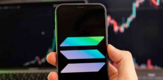 Solana Price Prediction for Poodlana (POODL) Launch – CoinJournal news-05072024-044924