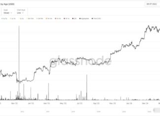 Bitcoin Price Plummets After FTX Collapse and Mt. Gox Panic news-05072024-044943