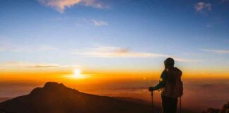 Predicted Timeline for Bitcoin Price to Reach Peak Cycle Levels news-06072024-085034