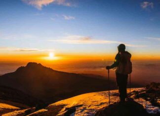 Predicted Timeline for Bitcoin Price to Reach Peak Cycle Levels news-06072024-085034