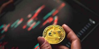 Key Levels to Watch for Dogecoin Price Decline and Recovery news-08072024-045303