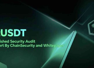 stUSDT Security Audit Report by ChainSecurity and Whitepaper Analysis news-08072024-225712