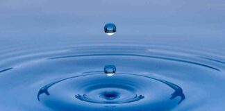 Ronaldinho Promotes Solana Meme Token on Instagram: Latest News & Updates news-10072024-110302