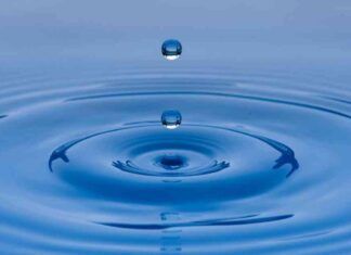 Ronaldinho Promotes Solana Meme Token on Instagram: Latest News & Updates news-10072024-110302