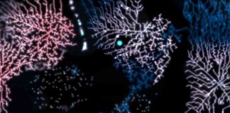 Bitcoin Ordinals: The Strategic Choice for Releasing ‘Frontline’ news-11072024-100058