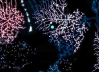 Bitcoin Ordinals: The Strategic Choice for Releasing ‘Frontline’ news-11072024-100058