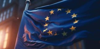 Elon Musk Accuses European Commission of Offering ‘Illegal Deal’ During DSA Probe news-13072024-065852