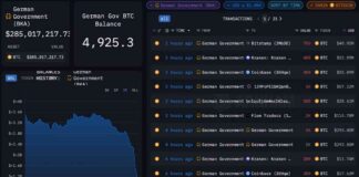 Germany Sells Majority of Bitcoin Holdings, Holding Less Than 5K Tokens news-13072024-150550