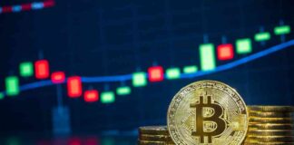 Bitcoin Price Stalls Below $60k as Poodlana Presale Launches in 5 Days news-14072024-100030