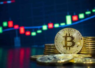 Bitcoin Price Stalls Below $60k as Poodlana Presale Launches in 5 Days news-14072024-100030