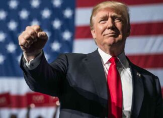 Trump Assassination Attempt Increases Election Odds to All-Time High, According to Polymarket Data news-14072024-100100