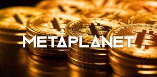 Investors Boost Metaplanet Stock by 10% with Bitcoin Purchase, Holdings Reach 225 BTC news-16072024-062103